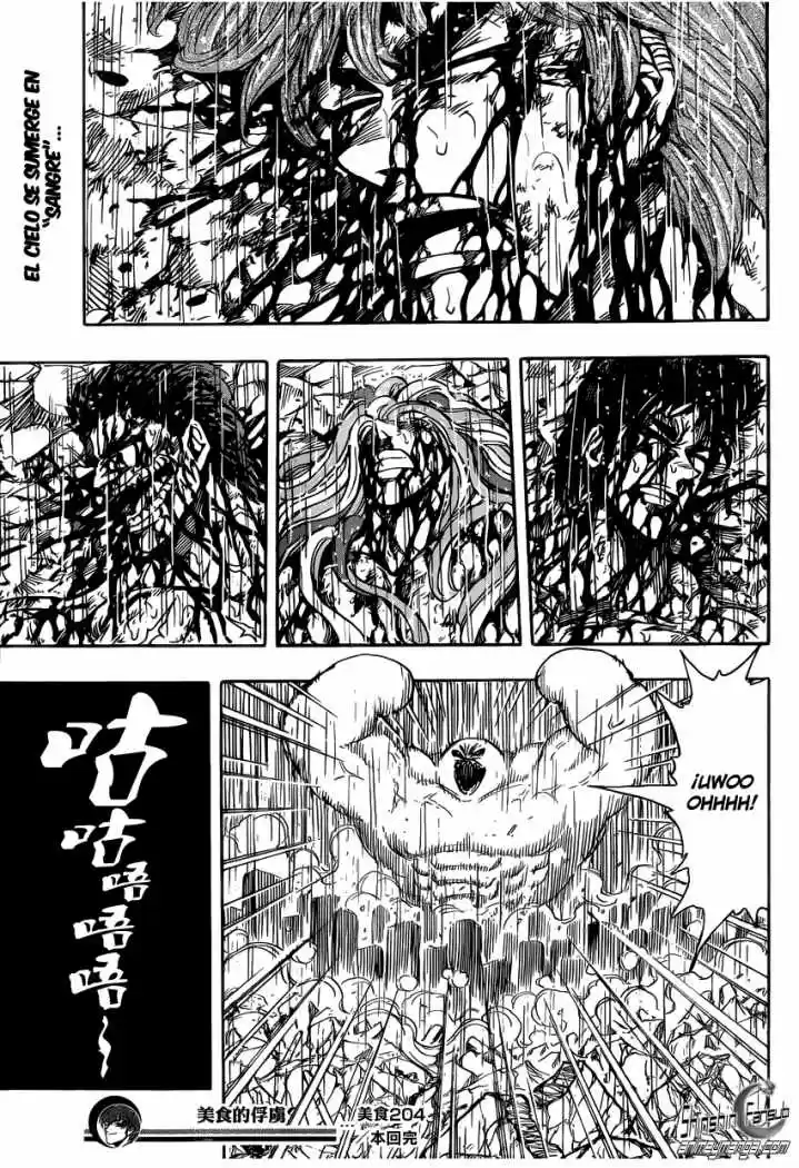 Toriko (2008) - Capítulo 204 - Página 17 - LectorTMOo