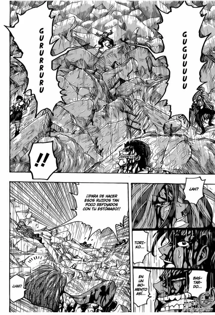 Toriko (2008) - Capítulo 205 - Página 5 - LectorTMOo