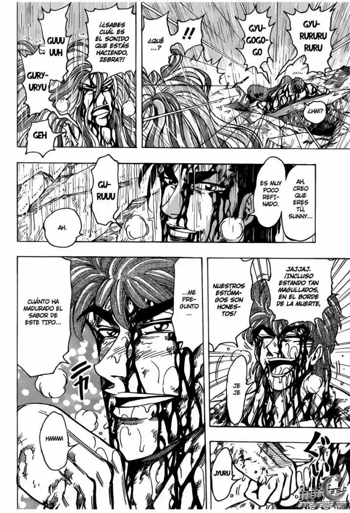 Toriko (2008) - Capítulo 205 - Página 9 - LectorTMOo