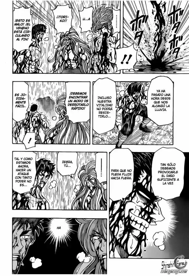 Toriko (2008) - Capítulo 205 - Página 13 - LectorTMOo