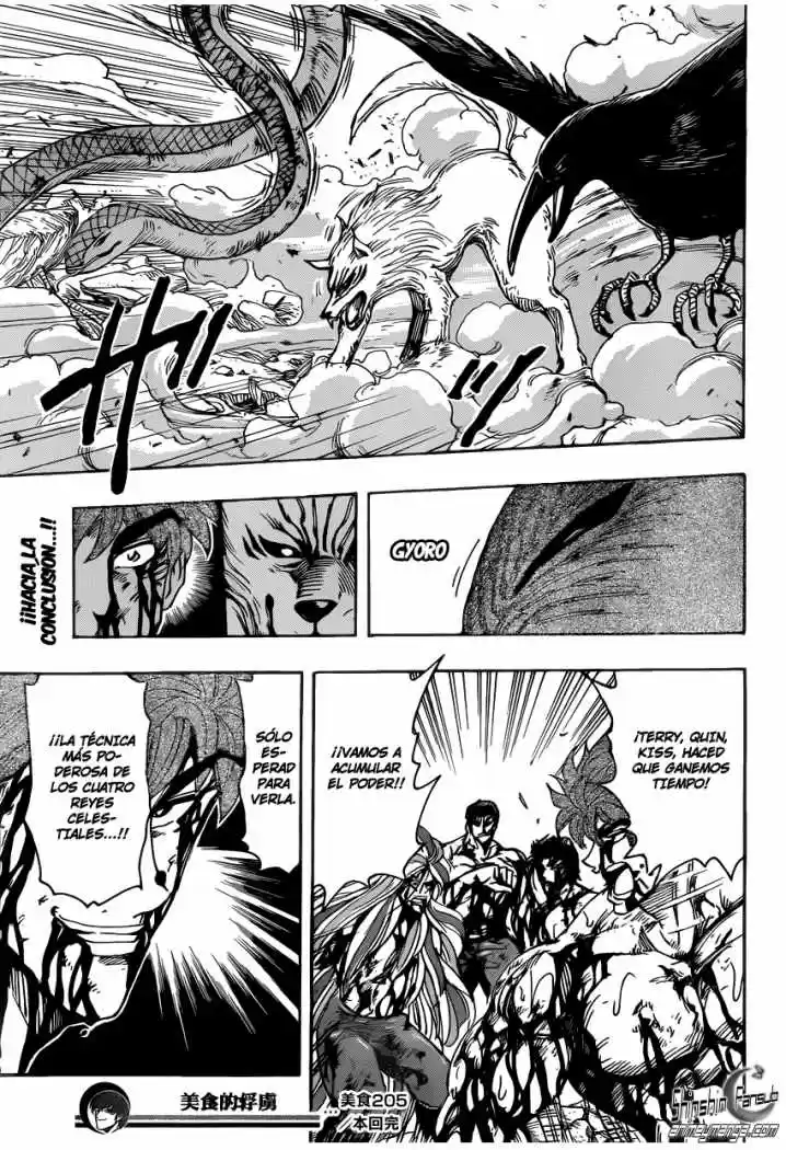 Toriko (2008) - Capítulo 205 - Página 18 - LectorTMOo