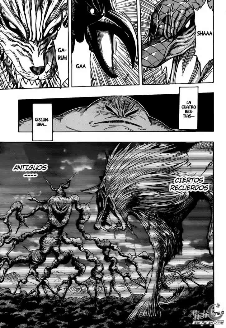 Toriko (2008) - Capítulo 206 - Página 8 - LectorTMOo