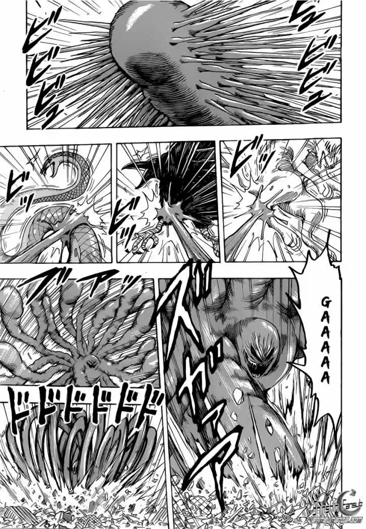 Toriko (2008) - Capítulo 206 - Página 14 - LectorTMOo