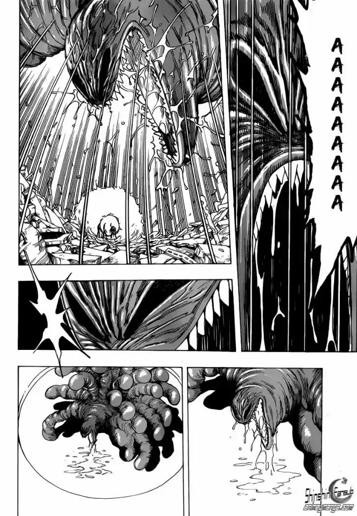 Toriko (2008) - Capítulo 206 - Página 19 - LectorTMOo
