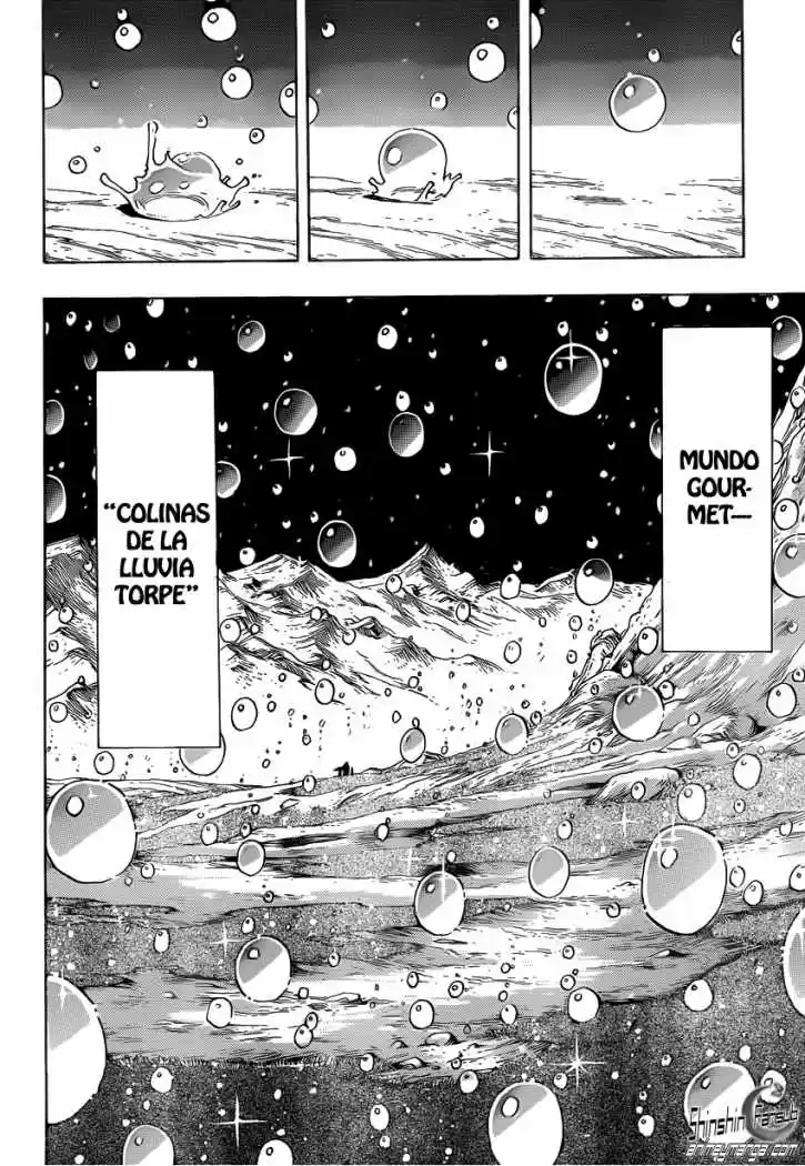 Toriko (2008) - Capítulo 209 - Página 15 - LectorTMOo