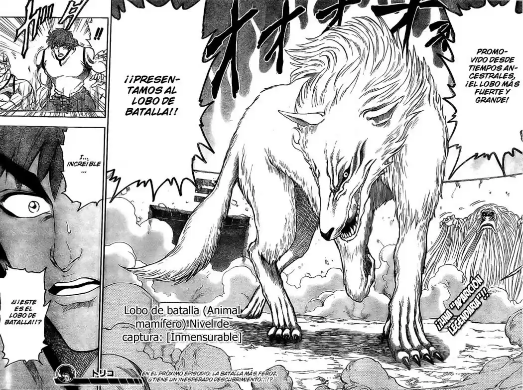 Toriko (2008) - Capítulo 21 - Página 17 - LectorTMOo