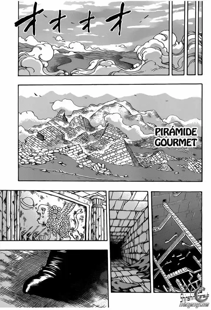 Toriko (2008) - Capítulo 210 - Página 17 - LectorTMOo