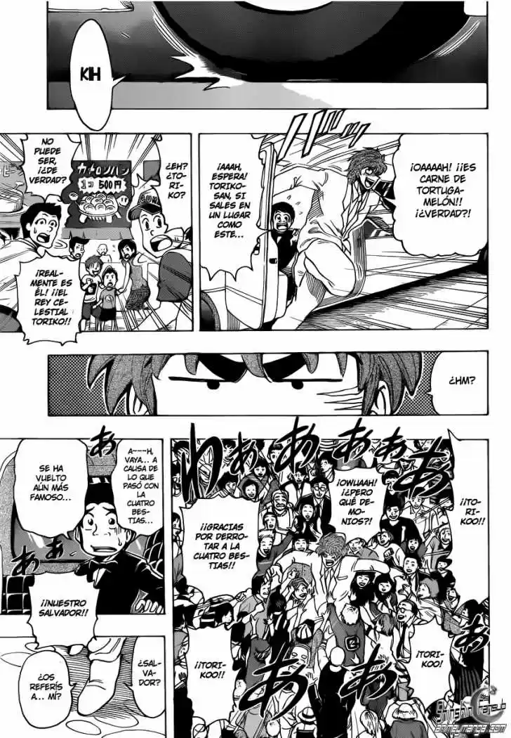 Toriko (2008) - Capítulo 211 - Página 9 - LectorTMOo