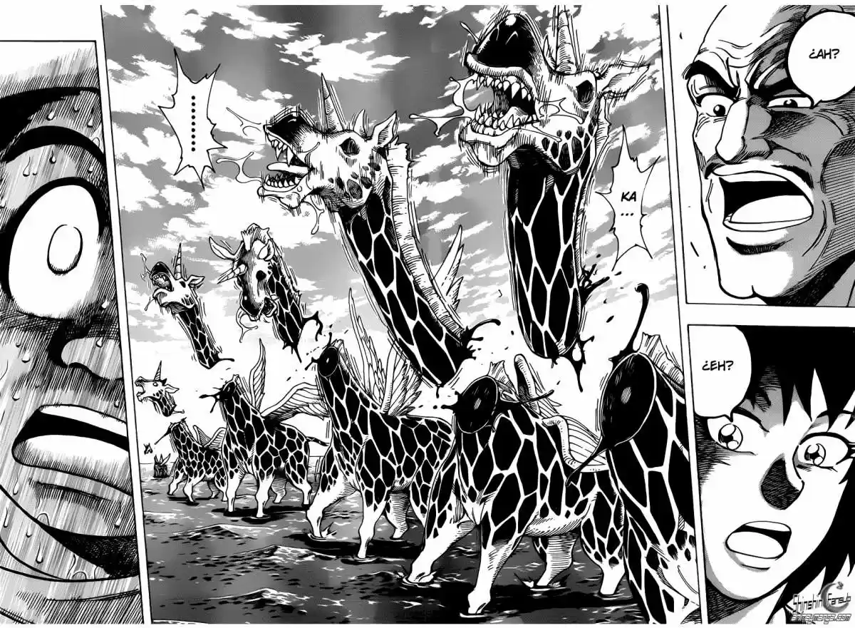 Toriko (2008) - Capítulo 217 - Página 17 - LectorTMOo