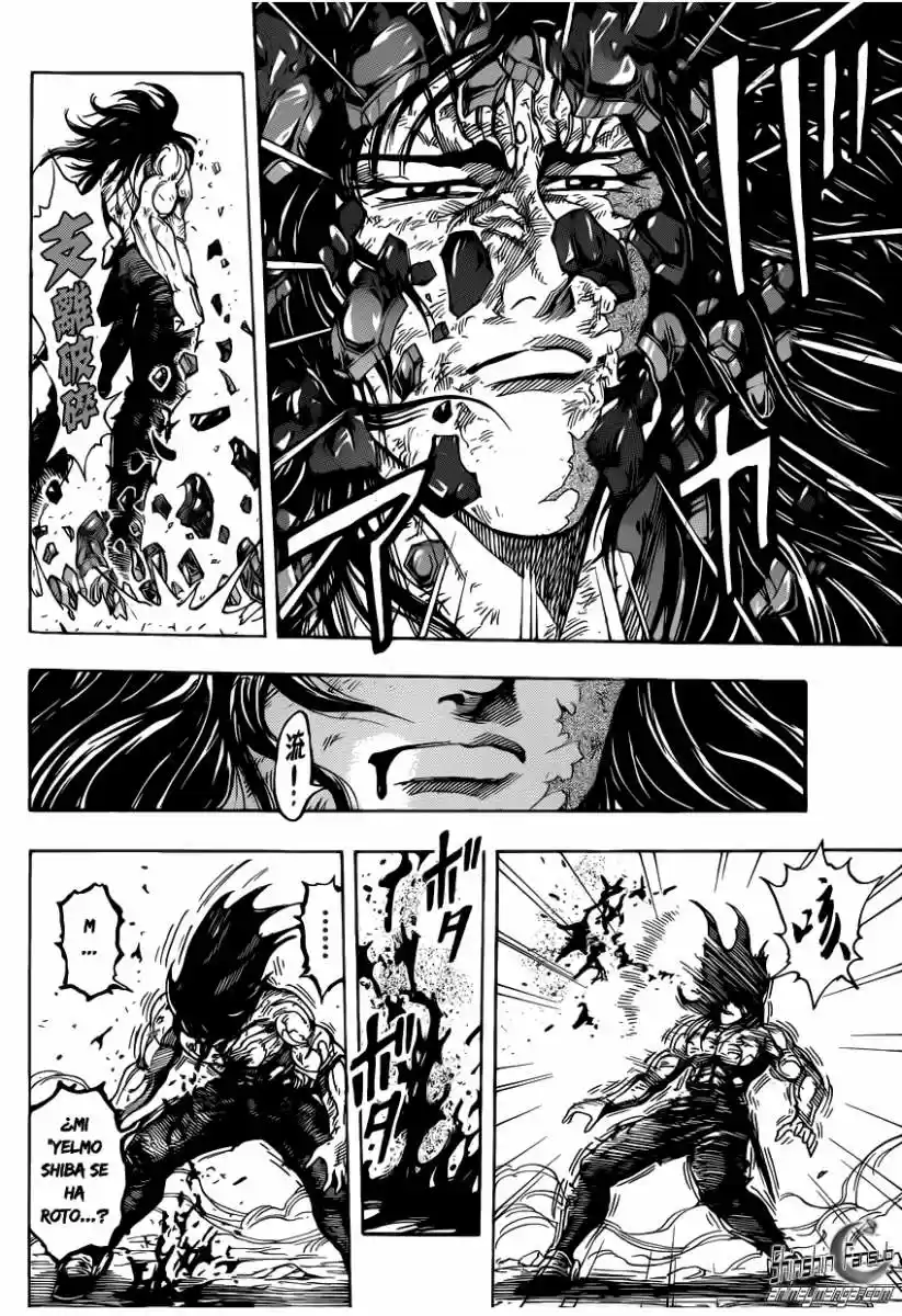 Toriko (2008) - Capítulo 220 - Página 17 - LectorTMOo