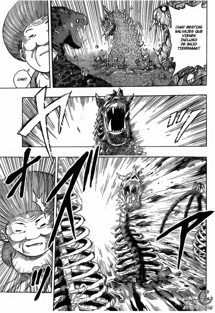Toriko (2008) - Capítulo 222 - Página 8 - LectorTMOo