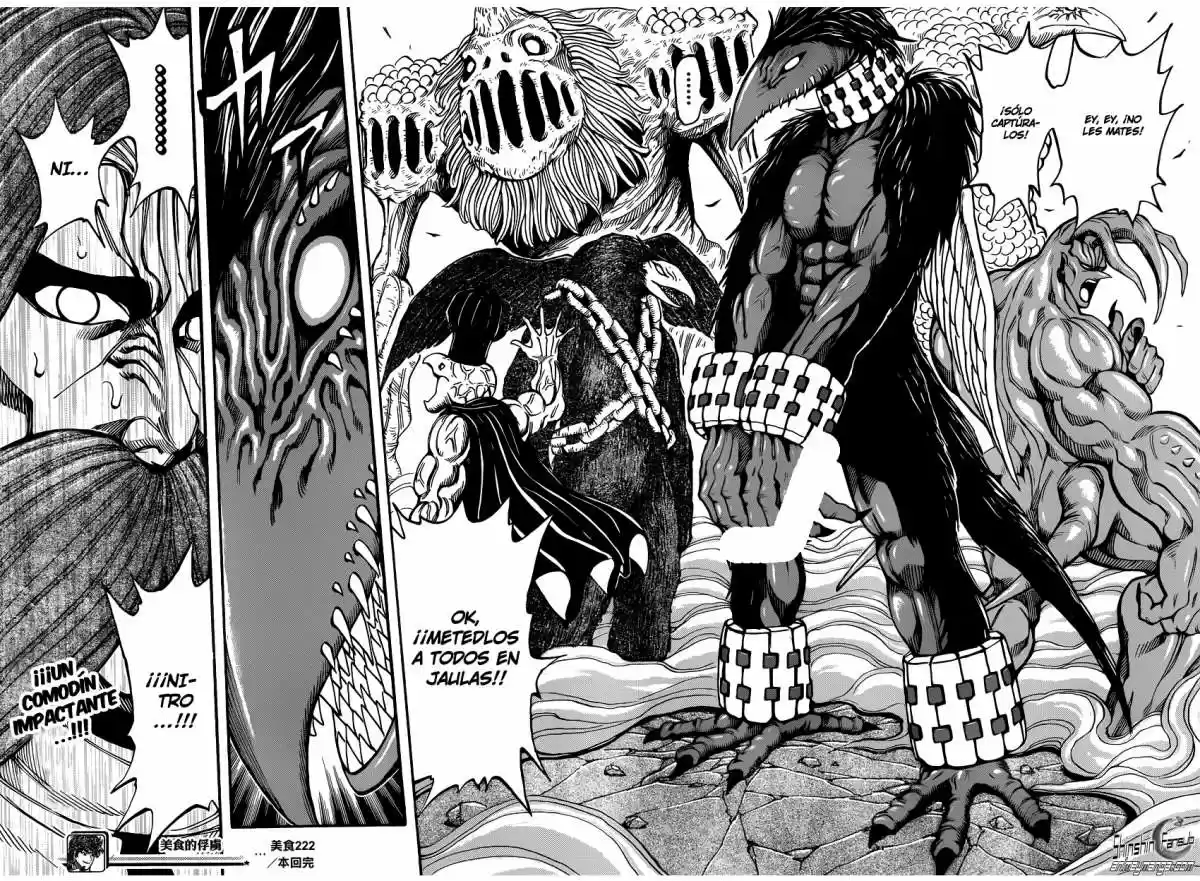 Toriko (2008) - Capítulo 222 - Página 17 - LectorTMOo