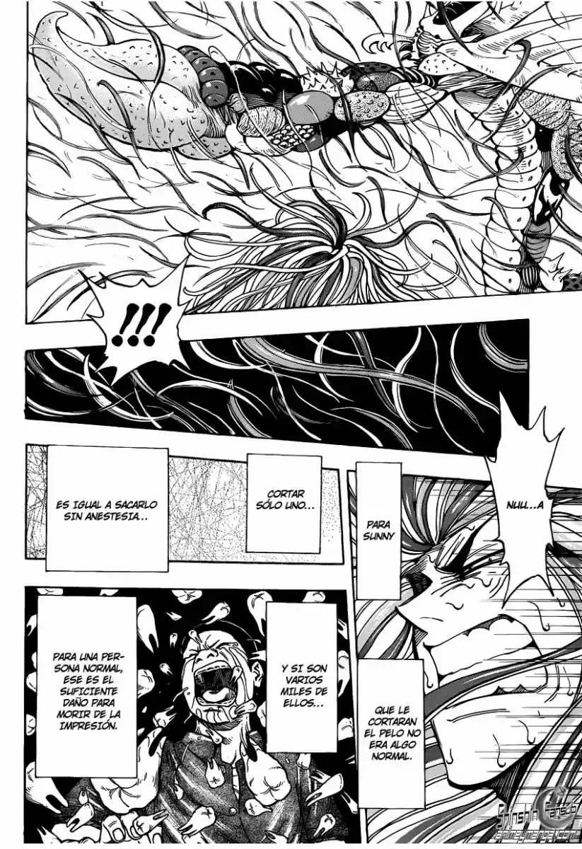 Toriko (2008) - Capítulo 225 - Página 9 - LectorTMOo