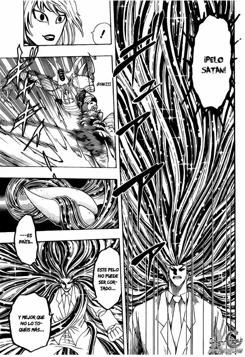 Toriko (2008) - Capítulo 225 - Página 14 - LectorTMOo