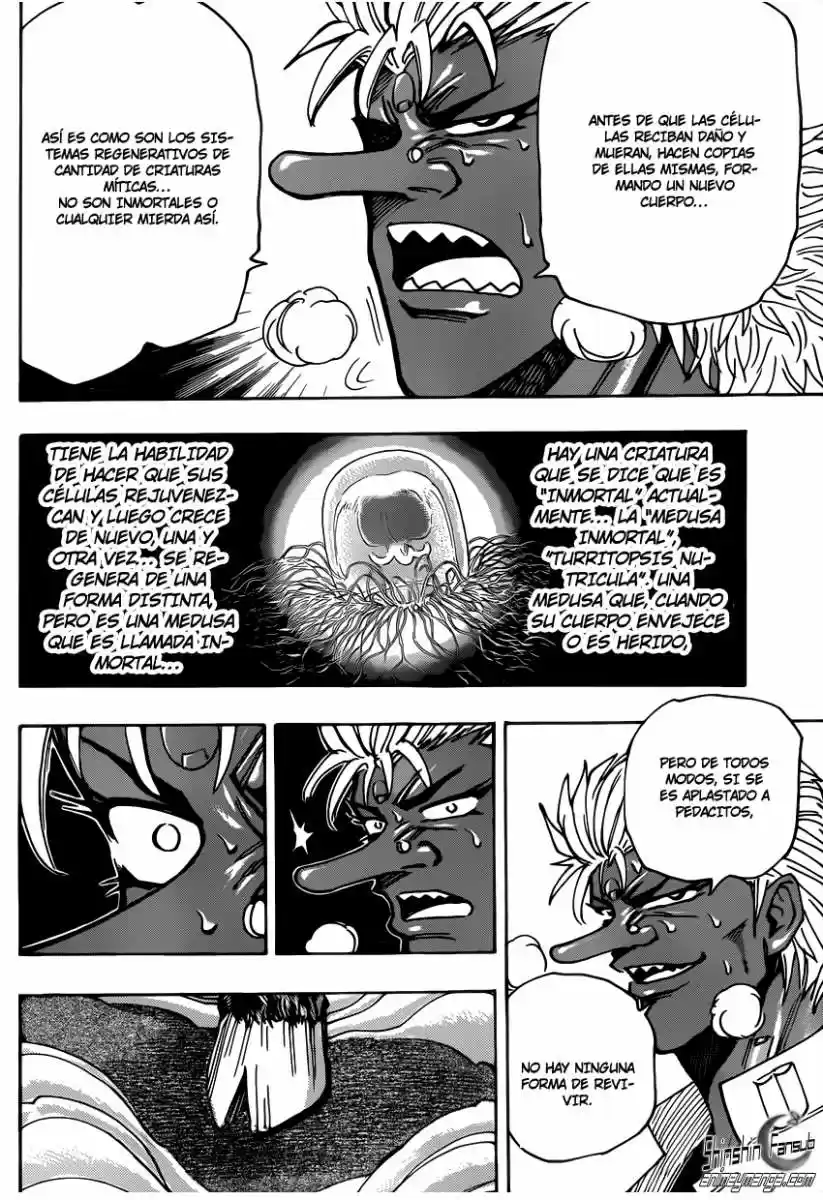 Toriko (2008) - Capítulo 228 - Página 13 - LectorTMOo