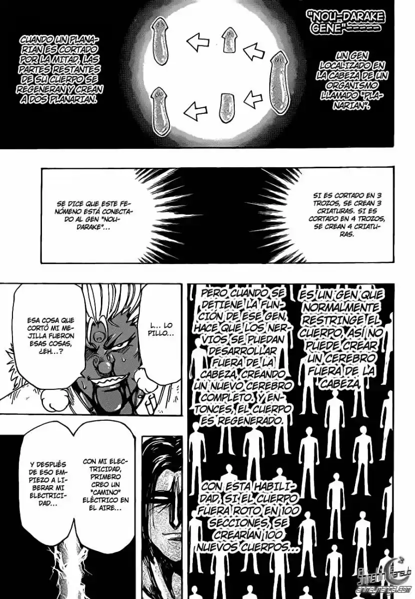 Toriko (2008) - Capítulo 229 - Página 6 - LectorTMOo