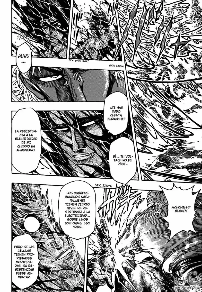 Toriko (2008) - Capítulo 229 - Página 11 - LectorTMOo