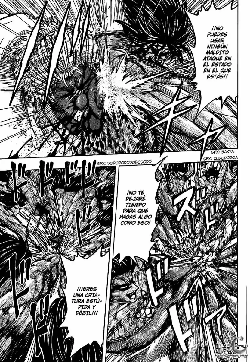 Toriko (2008) - Capítulo 229 - Página 14 - LectorTMOo