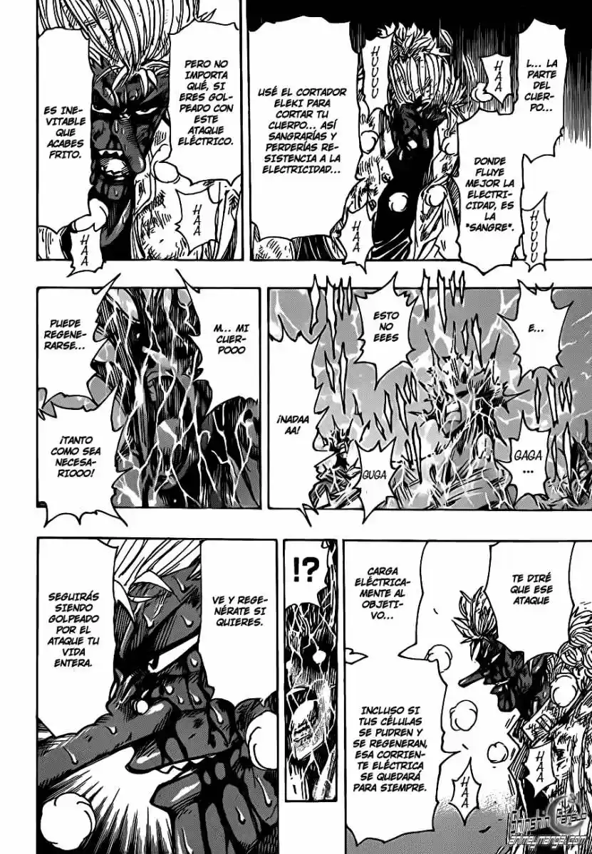 Toriko (2008) - Capítulo 229 - Página 19 - LectorTMOo