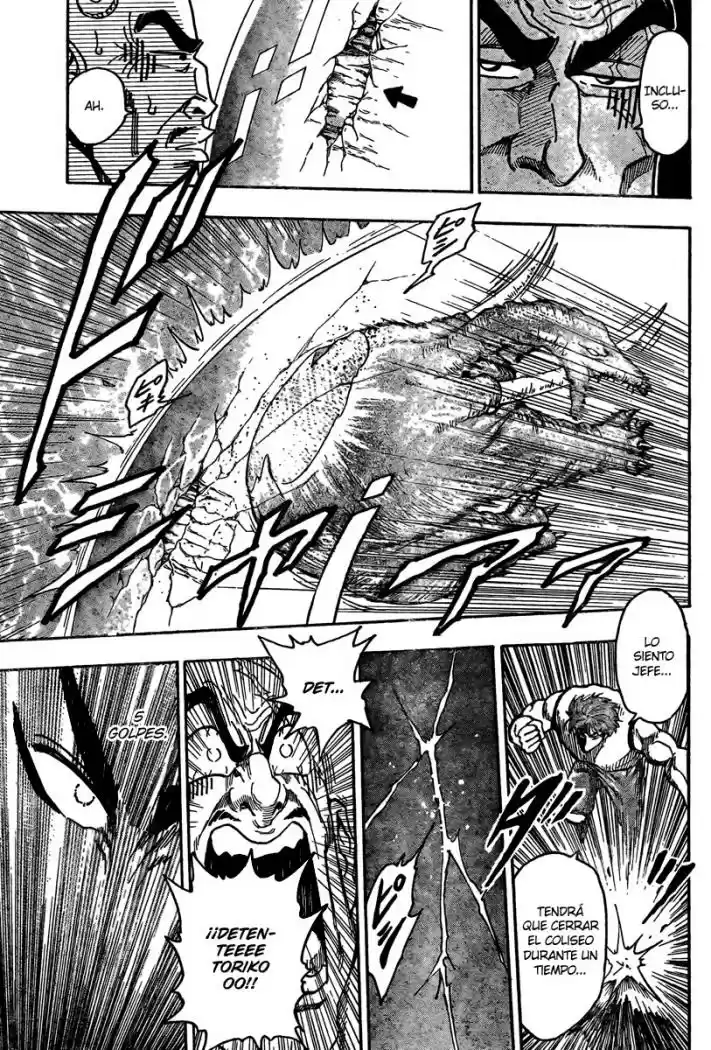 Toriko (2008) - Capítulo 23 - Página 15 - LectorTMOo