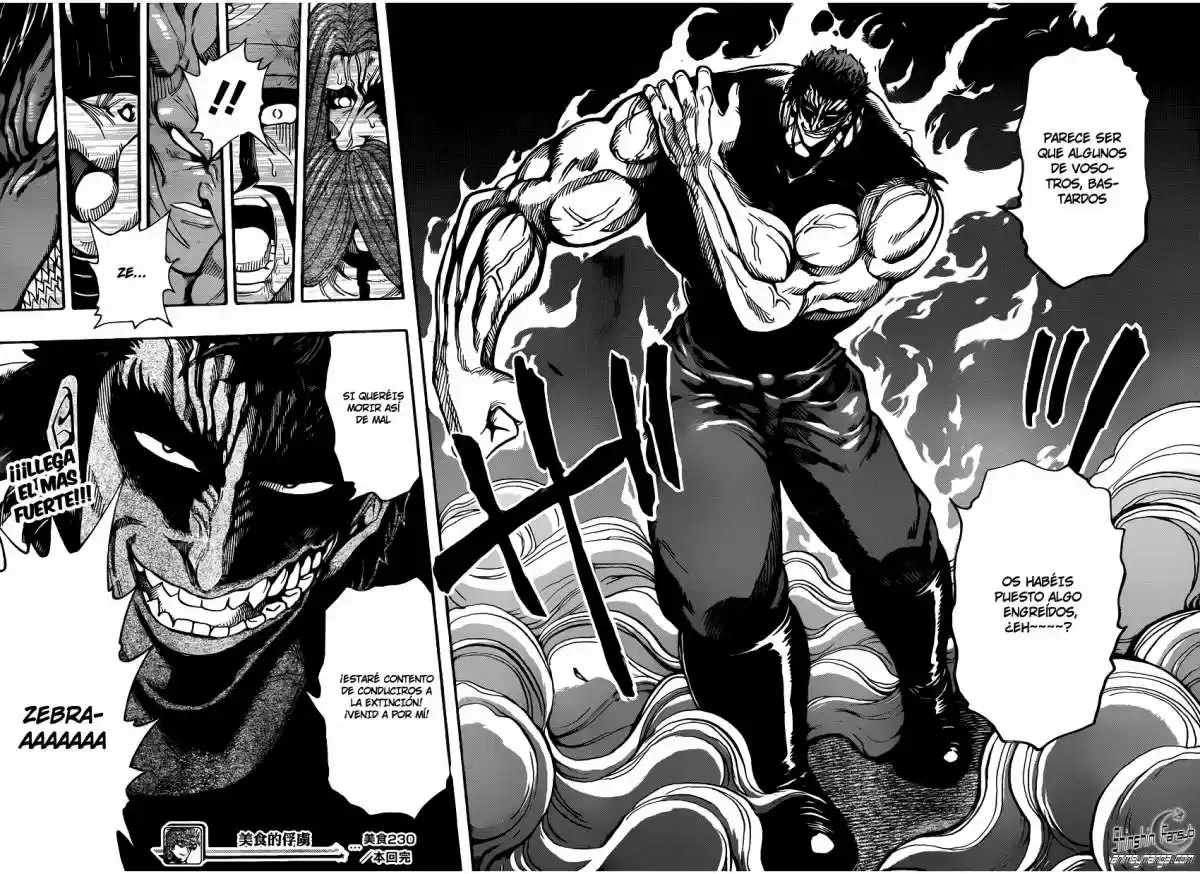 Toriko (2008) - Capítulo 230 - Página 18 - LectorTMOo