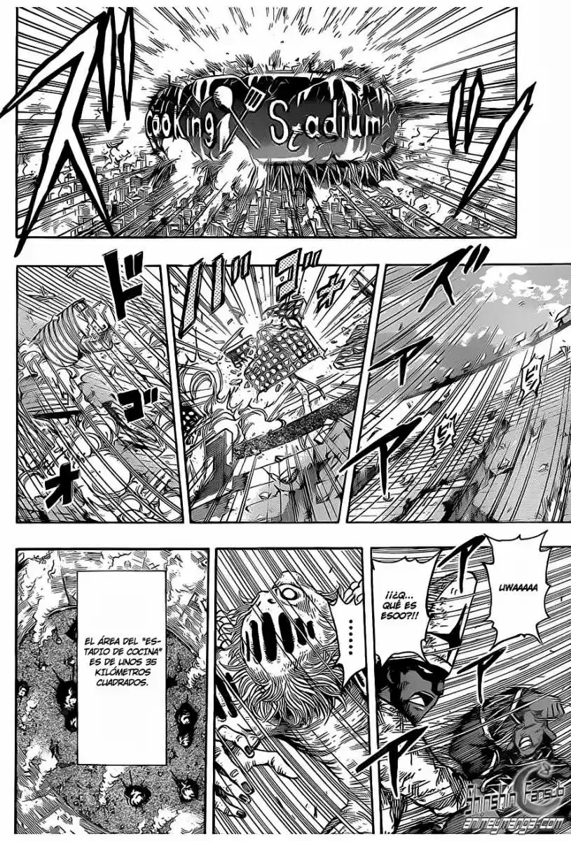 Toriko (2008) - Capítulo 231 - Página 13 - LectorTMOo