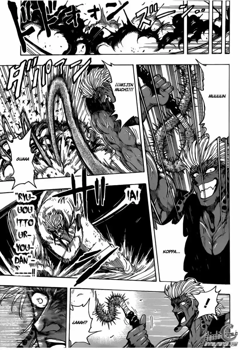 Toriko (2008) - Capítulo 232 - Página 11 - LectorTMOo