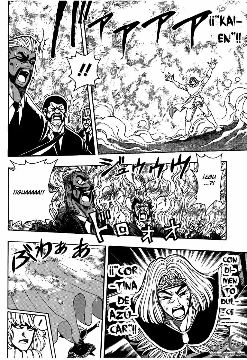 Toriko (2008) - Capítulo 232 - Página 14 - LectorTMOo