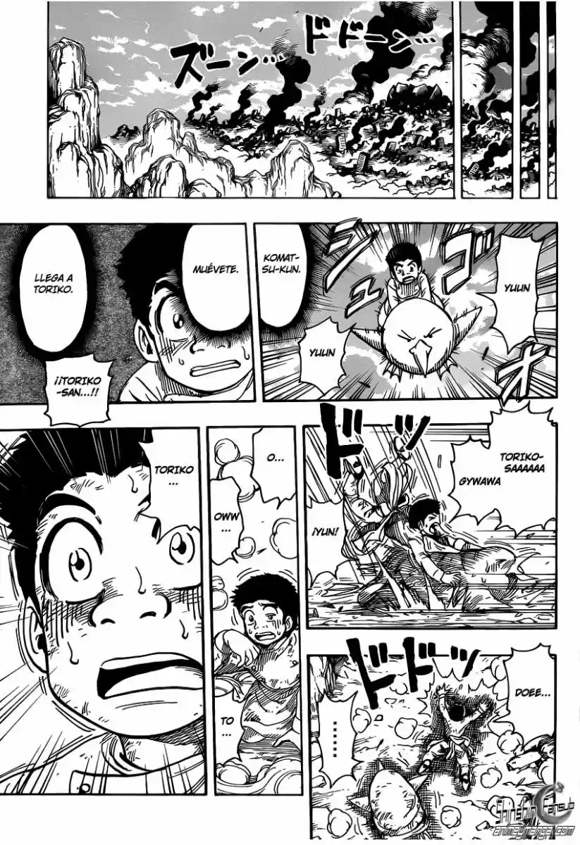 Toriko (2008) - Capítulo 232 - Página 17 - LectorTMOo