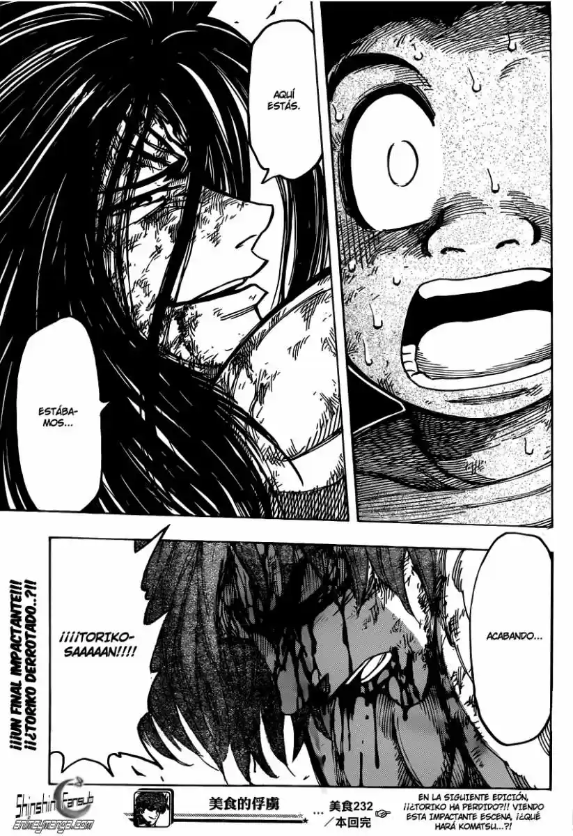 Toriko (2008) - Capítulo 232 - Página 19 - LectorTMOo