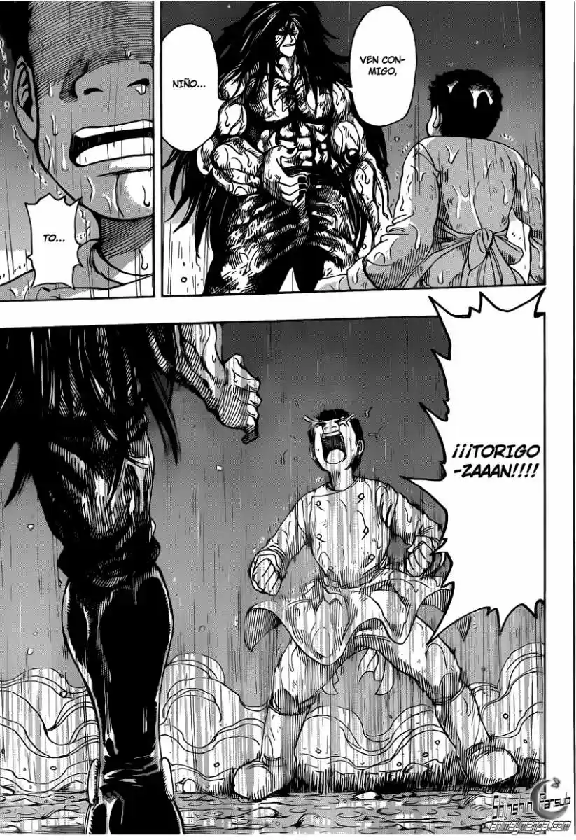 Toriko (2008) - Capítulo 233 - Página 17 - LectorTMOo