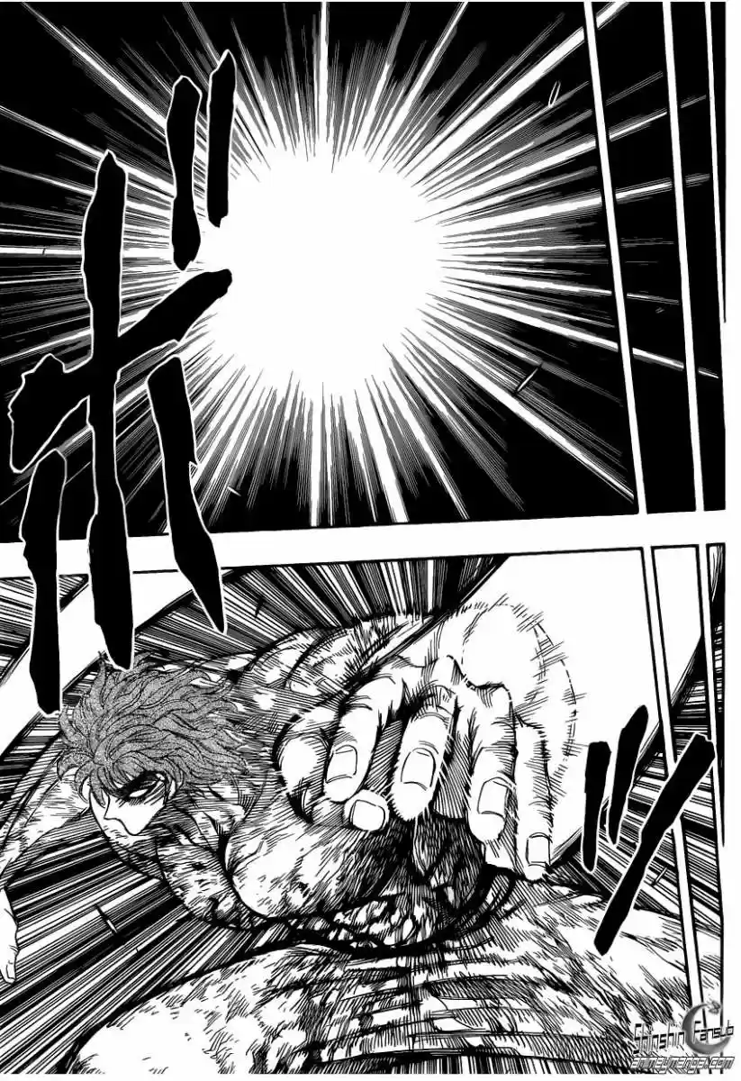 Toriko (2008) - Capítulo 235 - Página 17 - LectorTMOo