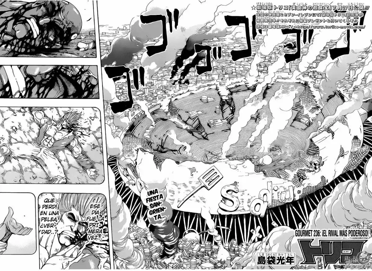 Toriko (2008) - Capítulo 236 - Página 5 - LectorTMOo