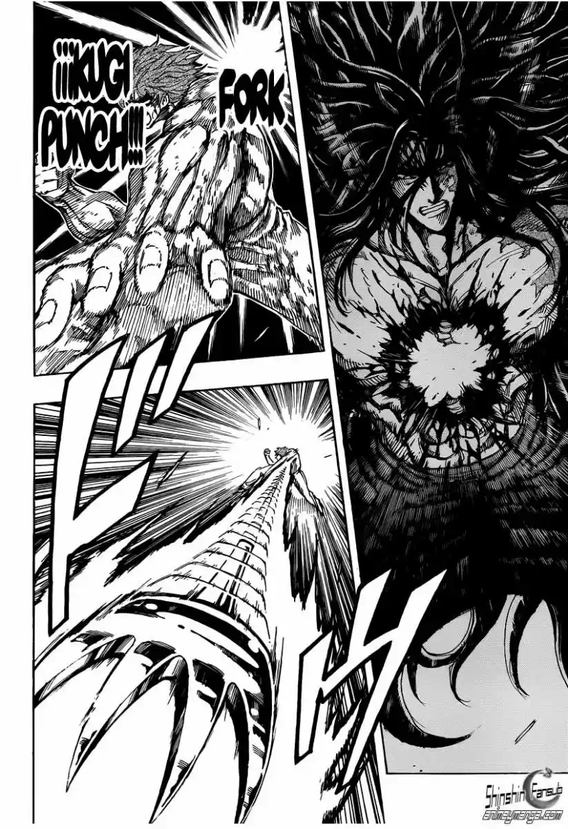 Toriko (2008) - Capítulo 236 - Página 12 - LectorTMOo