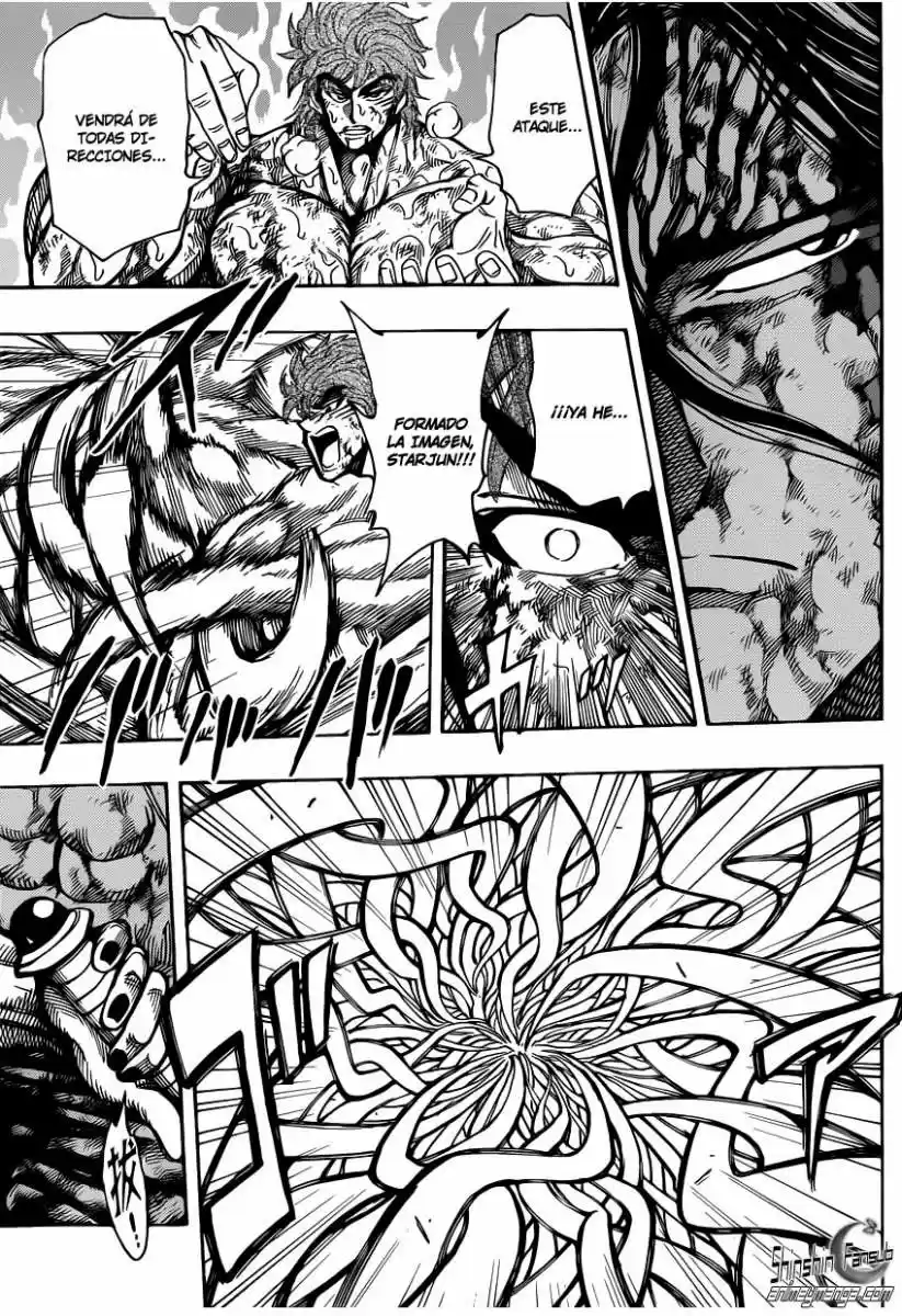 Toriko (2008) - Capítulo 236 - Página 17 - LectorTMOo