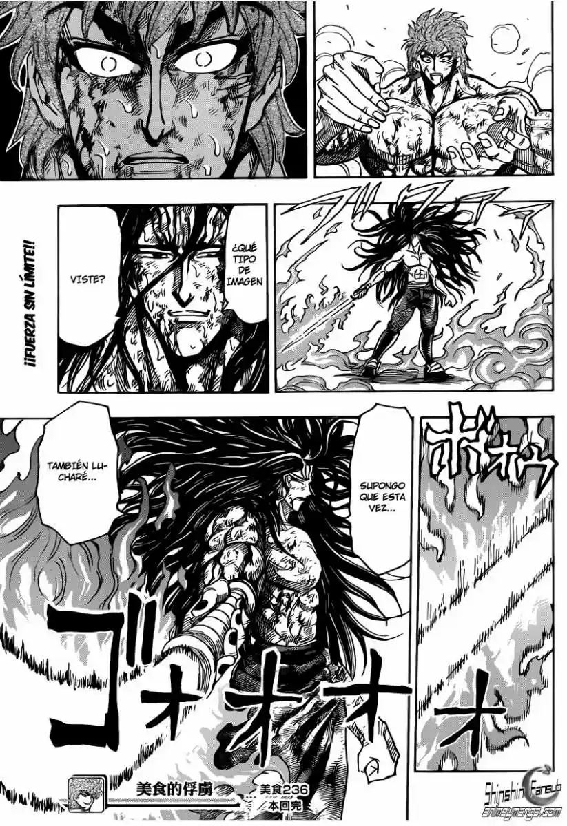 Toriko (2008) - Capítulo 236 - Página 19 - LectorTMOo