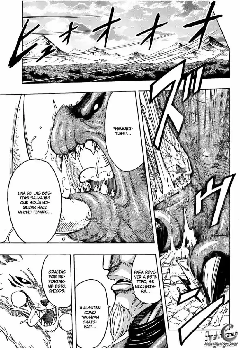 Toriko (2008) - Capítulo 237 - Página 18 - LectorTMOo