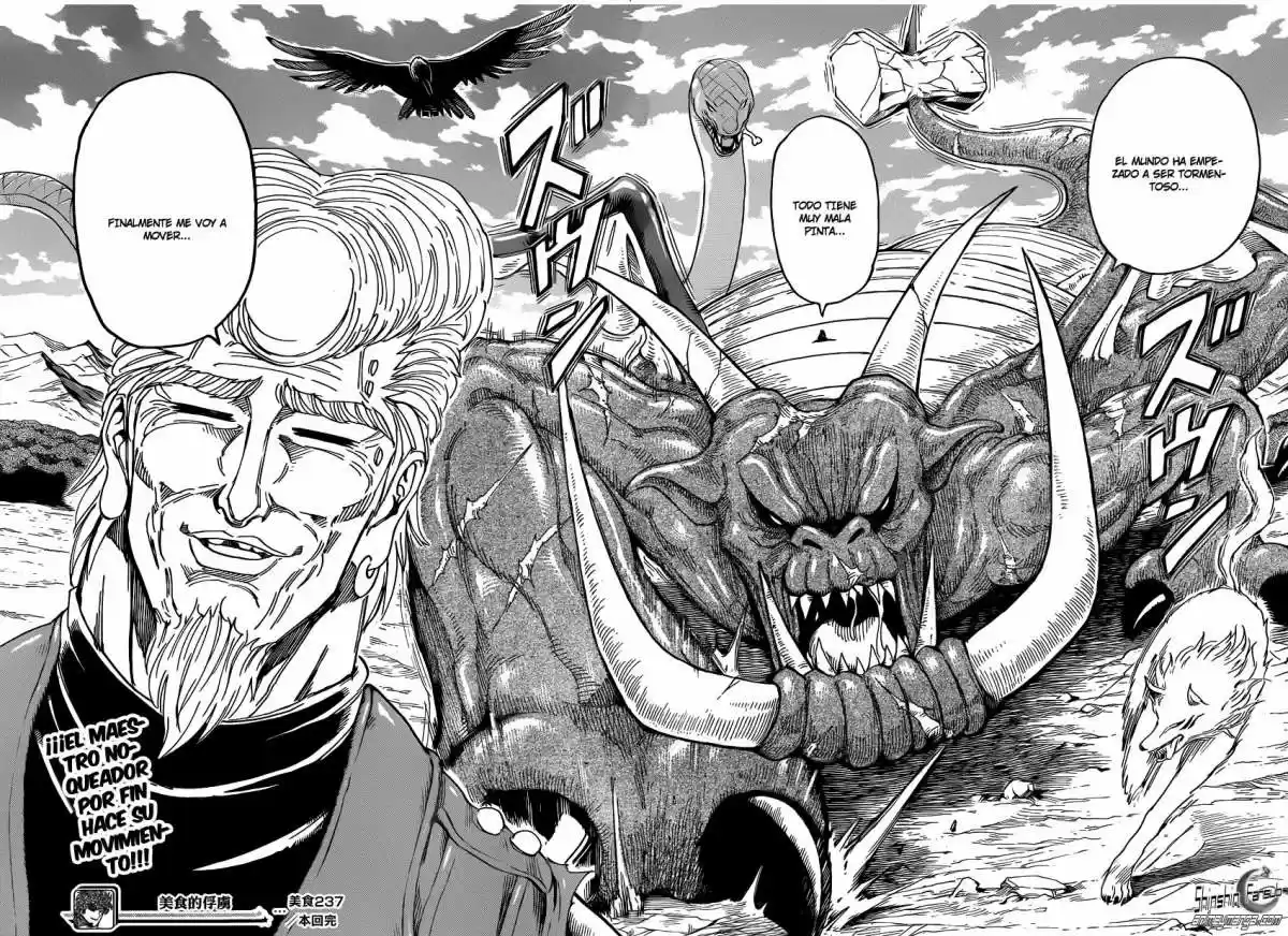 Toriko (2008) - Capítulo 237 - Página 19 - LectorTMOo