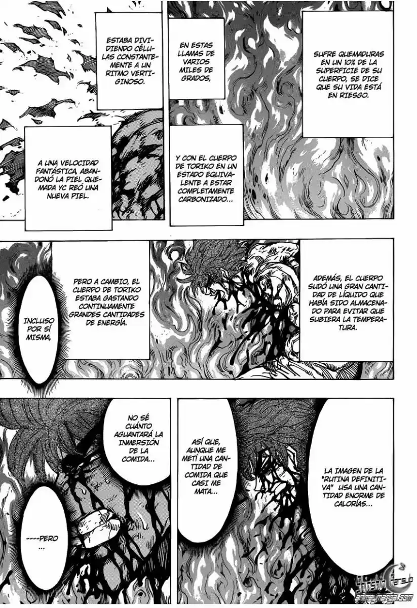 Toriko (2008) - Capítulo 238 - Página 10 - LectorTMOo