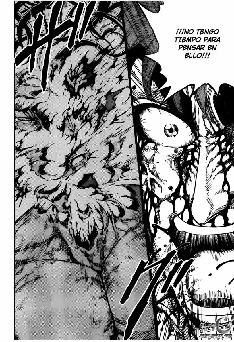 Toriko (2008) - Capítulo 238 - Página 11 - LectorTMOo