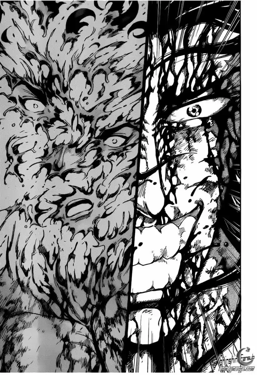 Toriko (2008) - Capítulo 238 - Página 12 - LectorTMOo