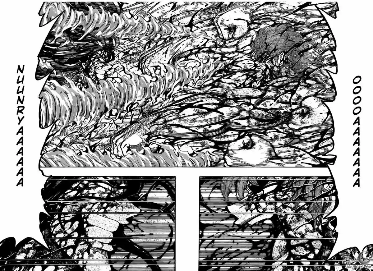 Toriko (2008) - Capítulo 238 - Página 13 - LectorTMOo