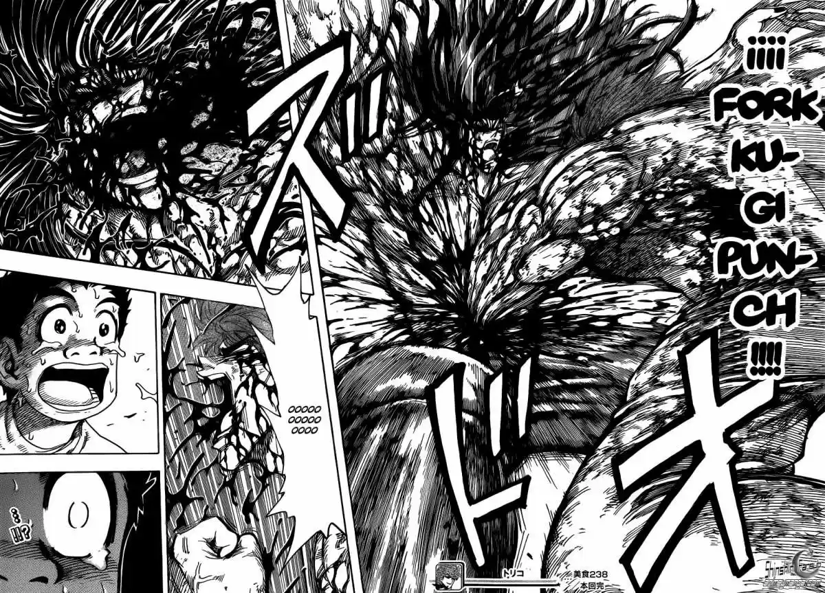 Toriko (2008) - Capítulo 238 - Página 18 - LectorTMOo