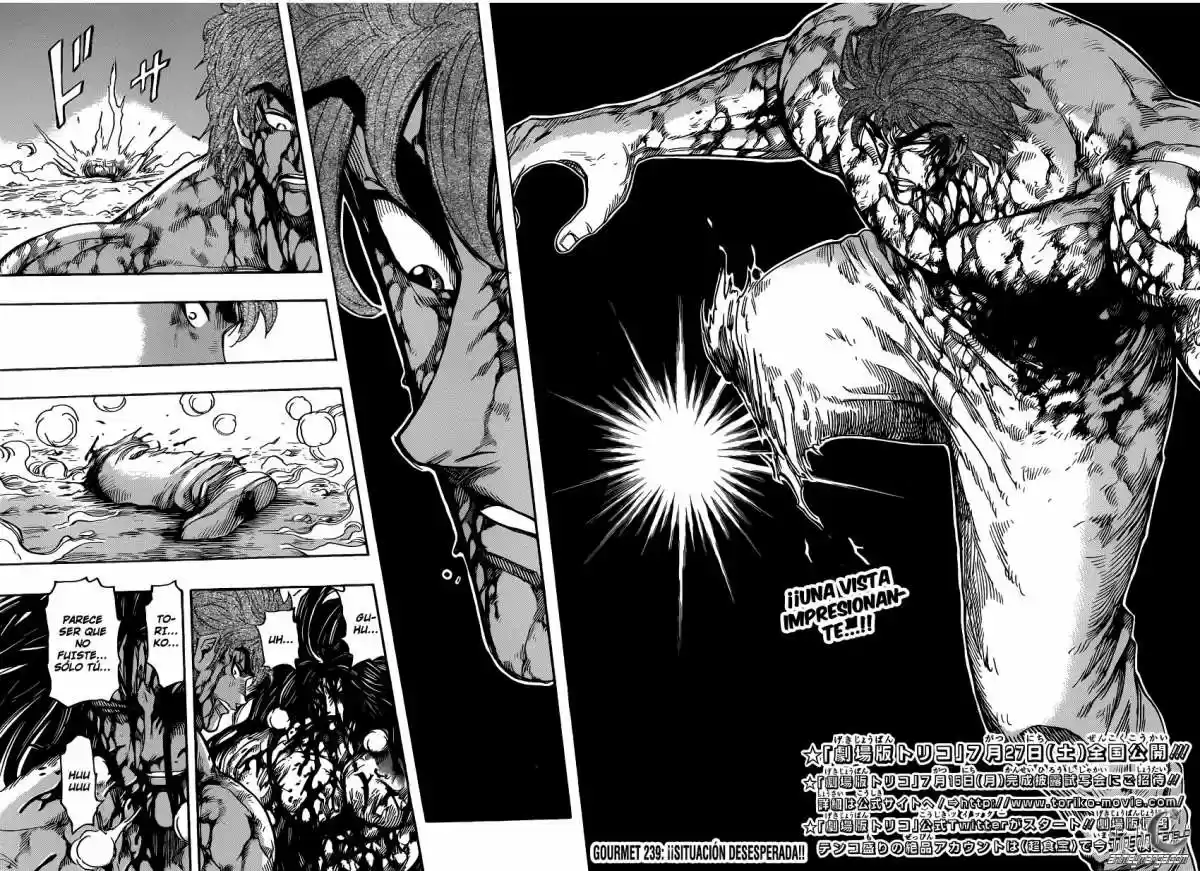Toriko (2008) - Capítulo 239 - Página 4 - LectorTMOo