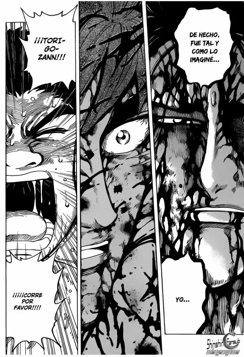 Toriko (2008) - Capítulo 239 - Página 5 - LectorTMOo