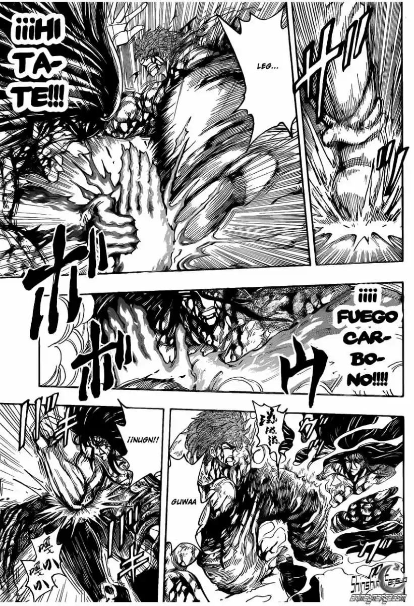 Toriko (2008) - Capítulo 239 - Página 8 - LectorTMOo