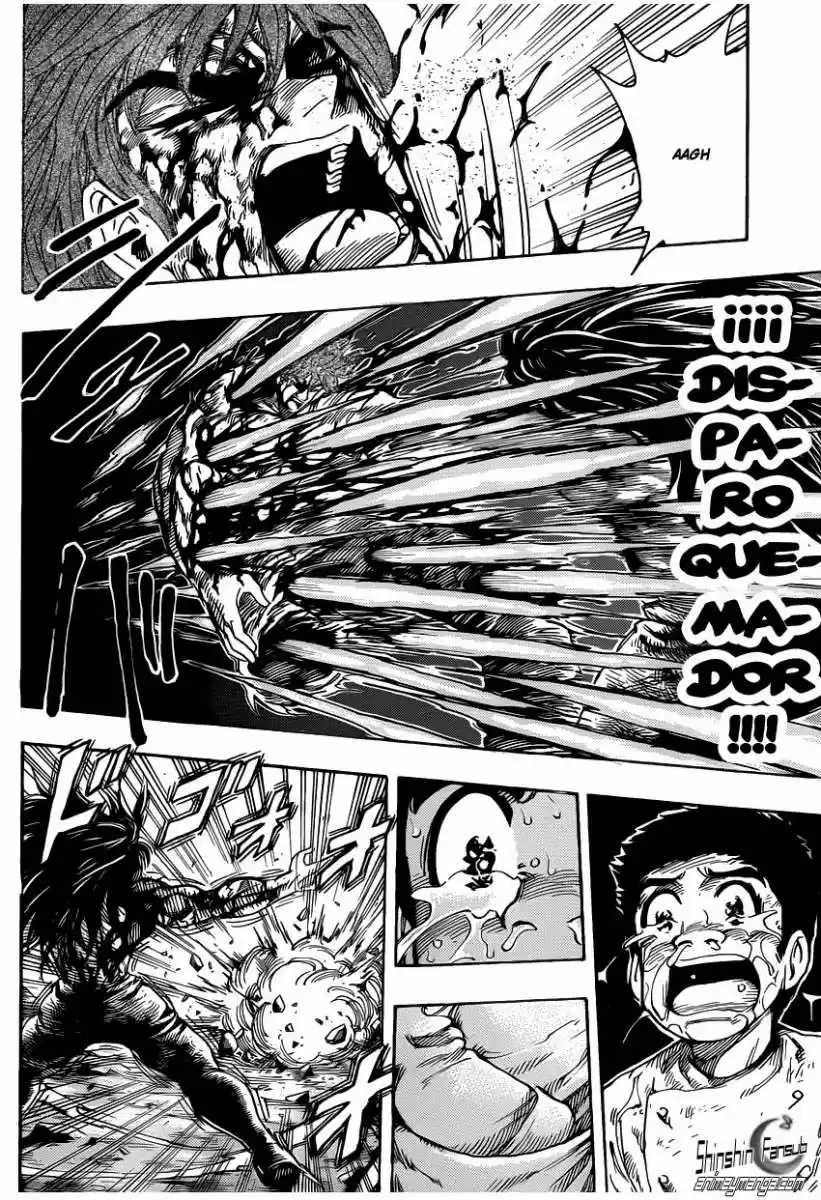 Toriko (2008) - Capítulo 239 - Página 9 - LectorTMOo