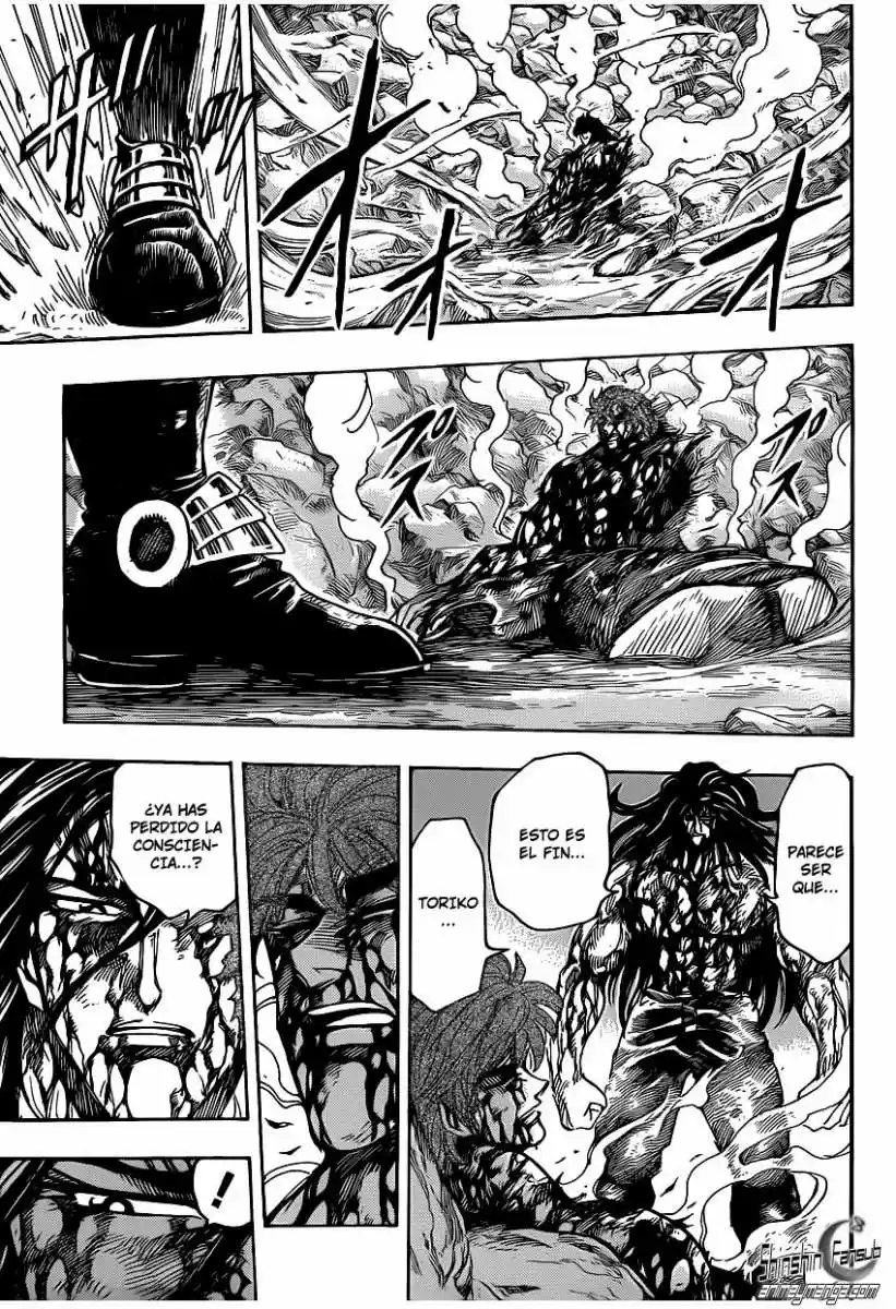 Toriko (2008) - Capítulo 239 - Página 10 - LectorTMOo