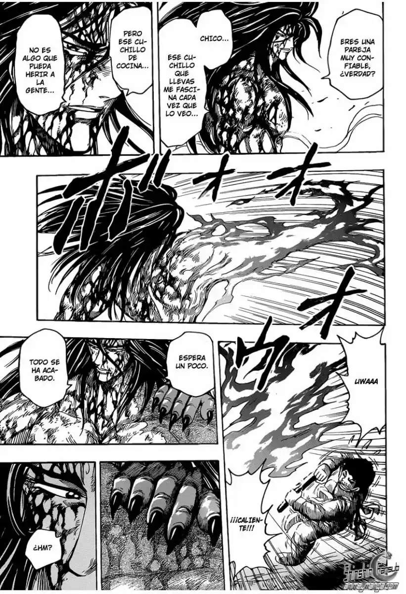 Toriko (2008) - Capítulo 239 - Página 12 - LectorTMOo