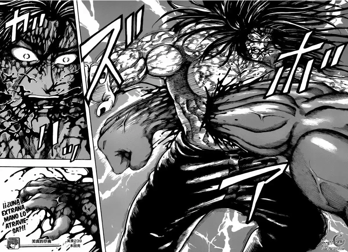 Toriko (2008) - Capítulo 239 - Página 17 - LectorTMOo